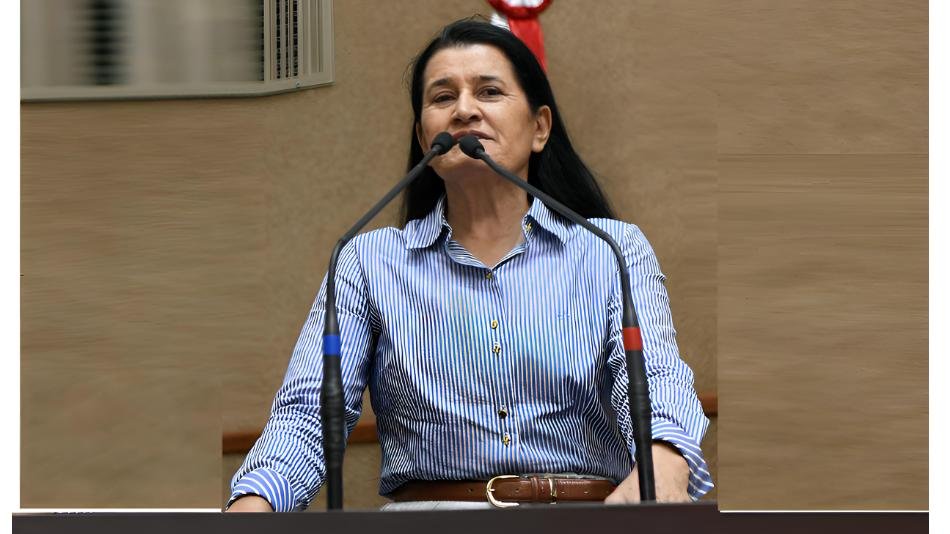 Jusmari Oliveira solicita implantação da Casa da Mulher Brasileira em Barreiras